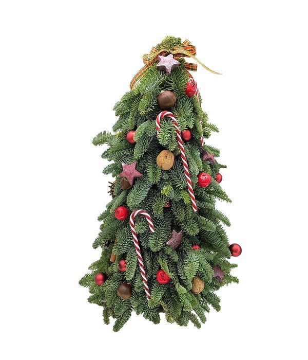 Decorated natural Christmas tree (red balls)