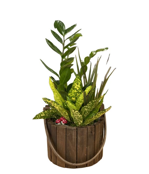 Ξύλινο καλαθάκι με φυτά