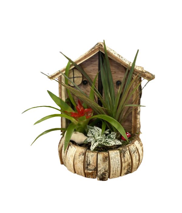 Wooden little plant house