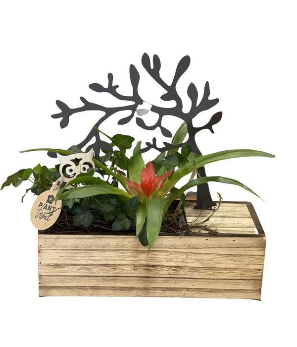 Table plant arrangement
