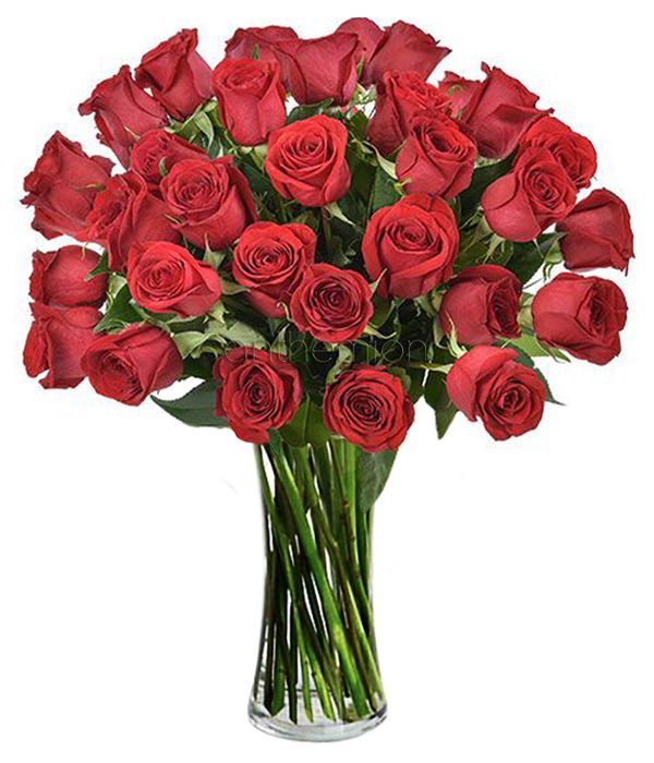 Forever Yours with 36 red roses