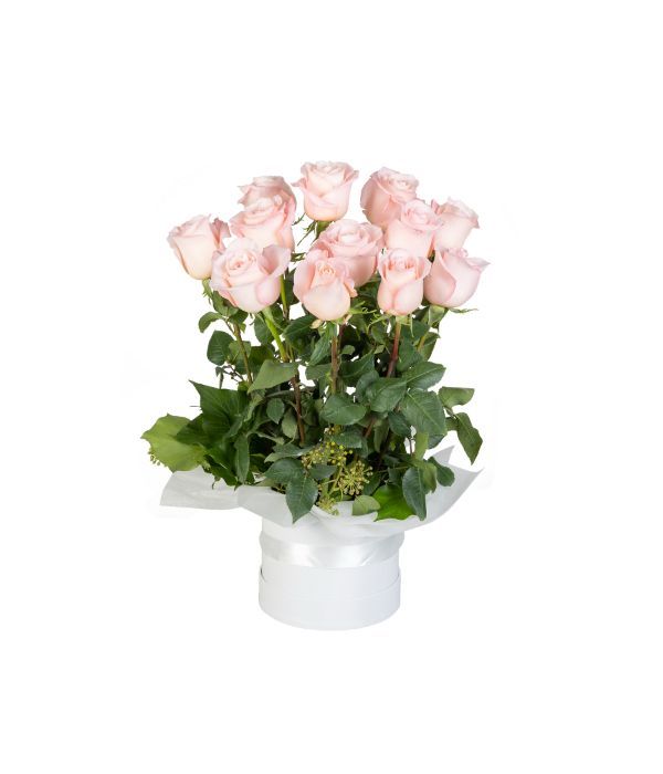Σύνθεση με 12 Ροζ τριαντάφυλλα σε κουτί