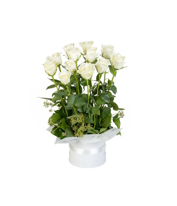 12 White Roses in a hat box