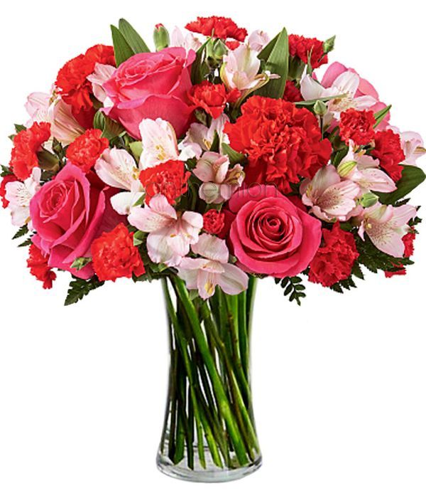 Γλυκιά τρυφερότητα με ροζ και κόκκινα άνθη