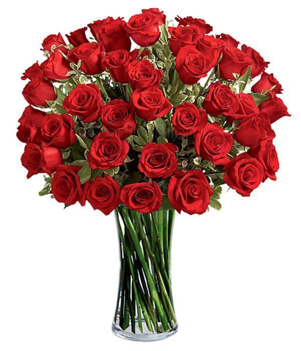 Γιορτάστε τον έρωτα με 48 κόκκινα τριαντάφυλλα