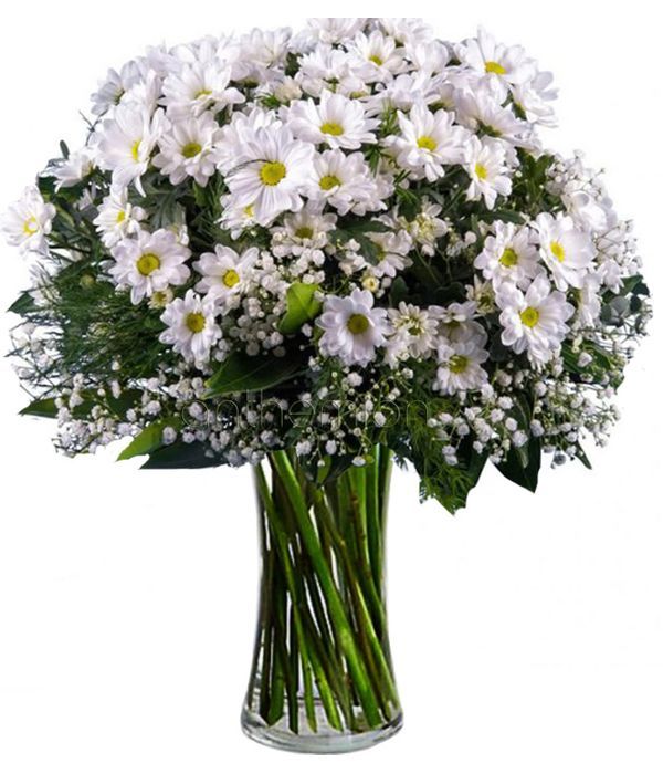 White chrysanthemums bouquet
