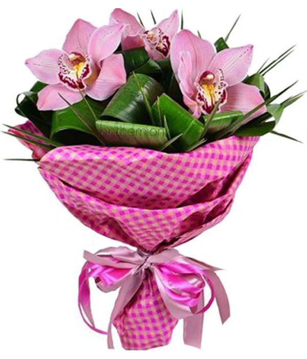 Exotic pink orchids