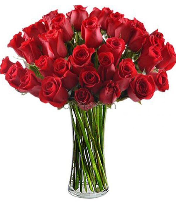 Red Passionated Roses