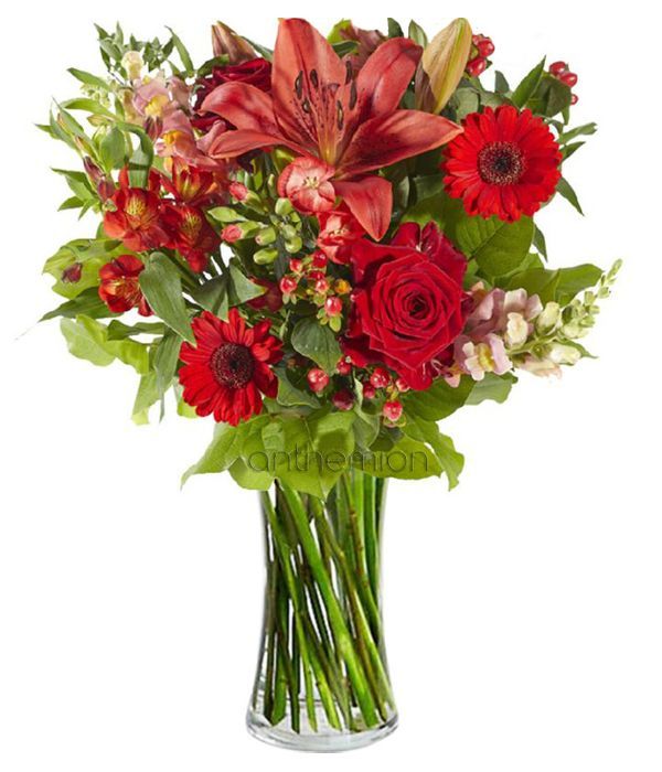 Mixed red flowers