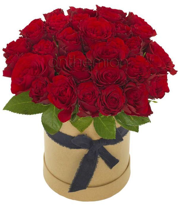 Classic red roses in box