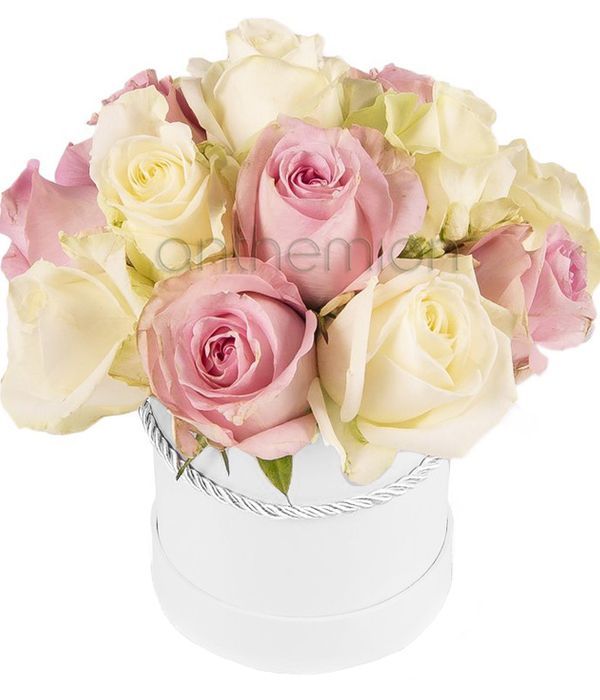 Pink and white roses in box