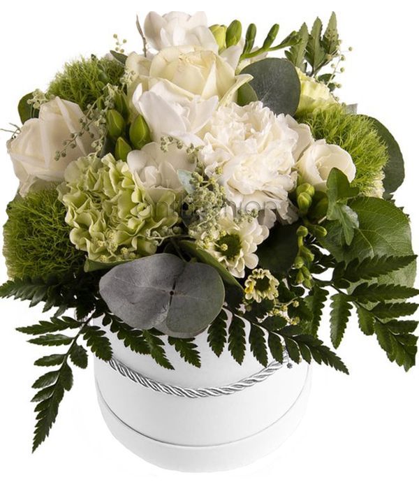 White flowers in gift box