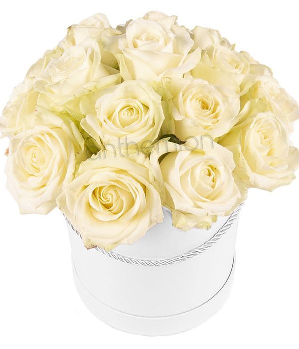White roses in gift box