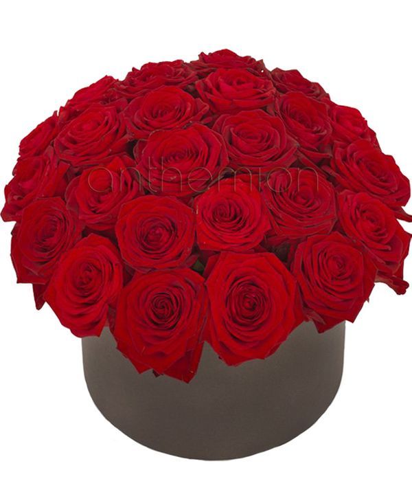 Passionate love with red roses