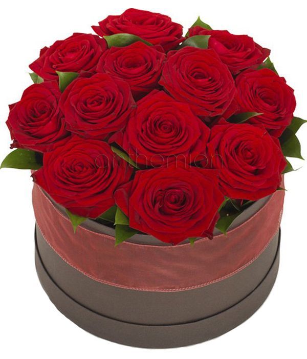 Love roses in gift box