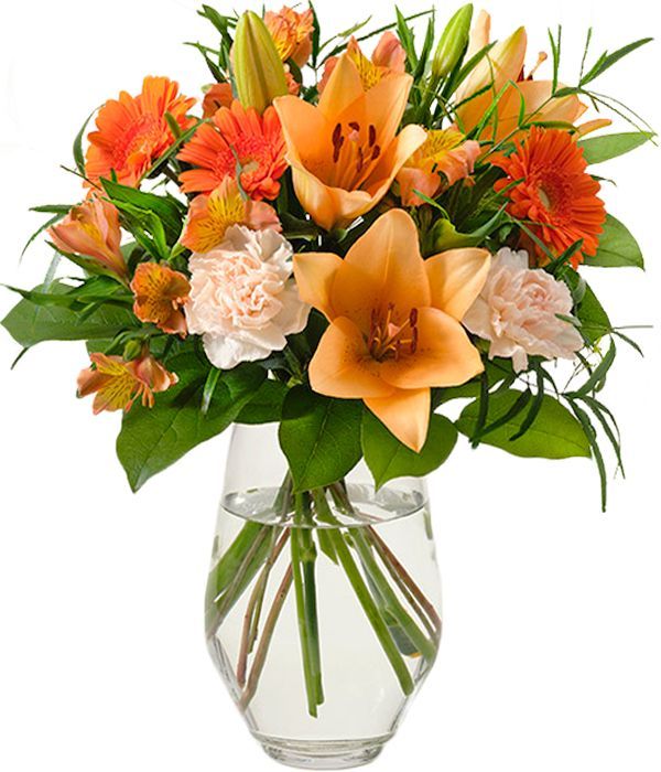 Sweet beauty with orange flowers
