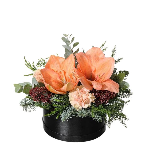Box arrangement with amaryllis and carnation
