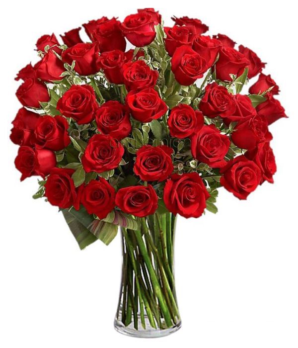 Bouquet of 48 red roses