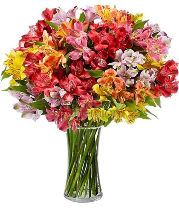 Rainbow Peruvian Lily Bouquet (Next Day Delivery)