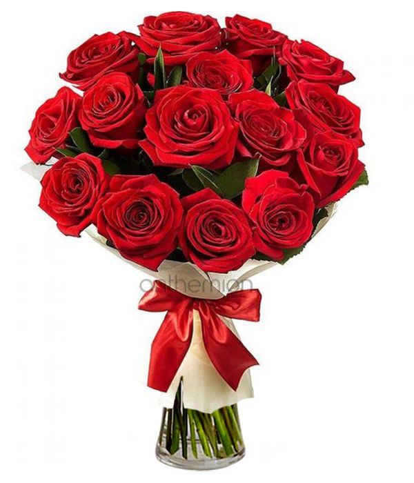 15 Red Roses