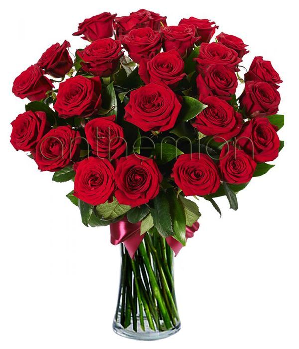 24 Red Roses