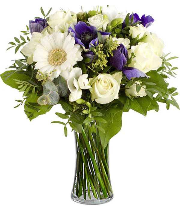 Πρίγκιπας, με λευκά και μπλε λουλούδια
