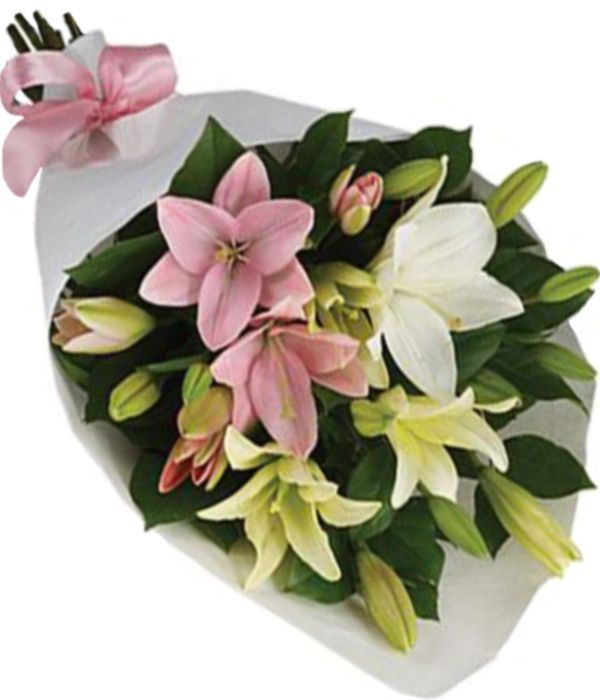 Lovely white and pink lilies