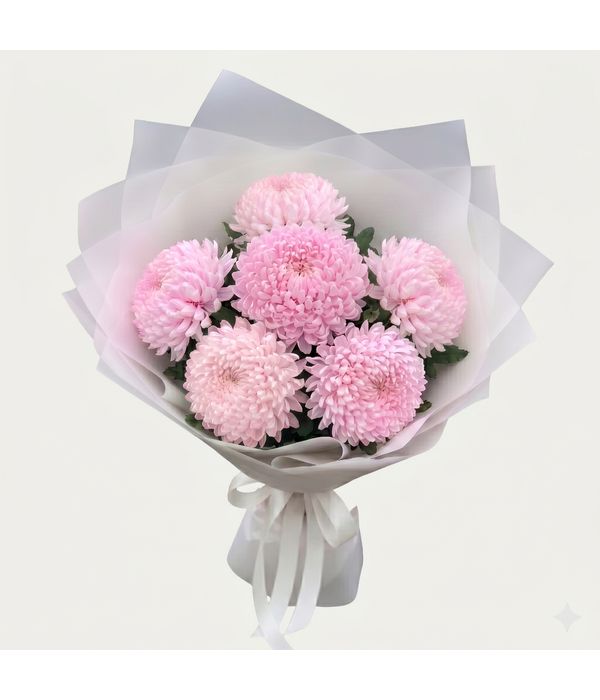 kefalato-chrysanthemo-roz-apostoli