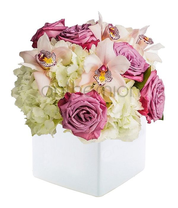 Luxury flowers in cube