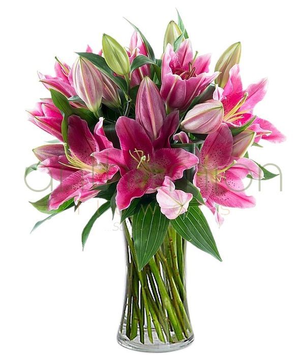 Fresh bouquet in pink shades