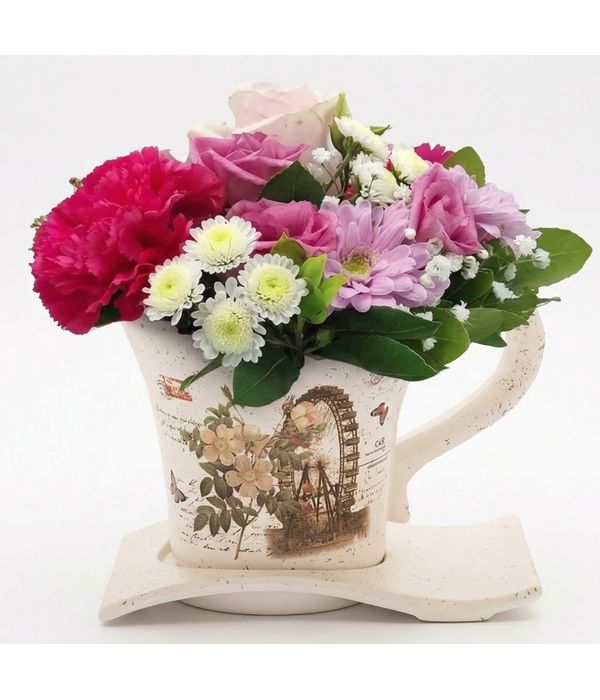 loyloydia-sythesi-dorou-apostoli-anthopolio