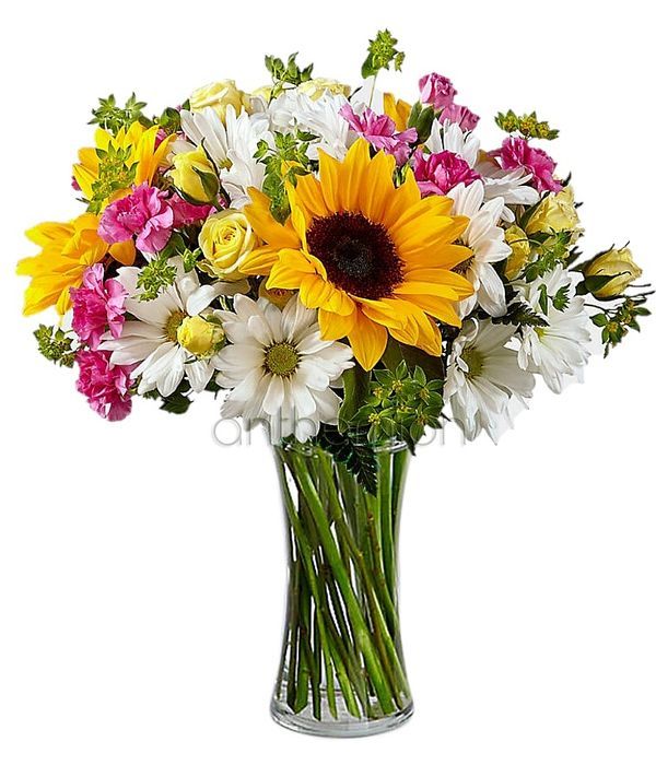 Mixed bouquet of sunflowers