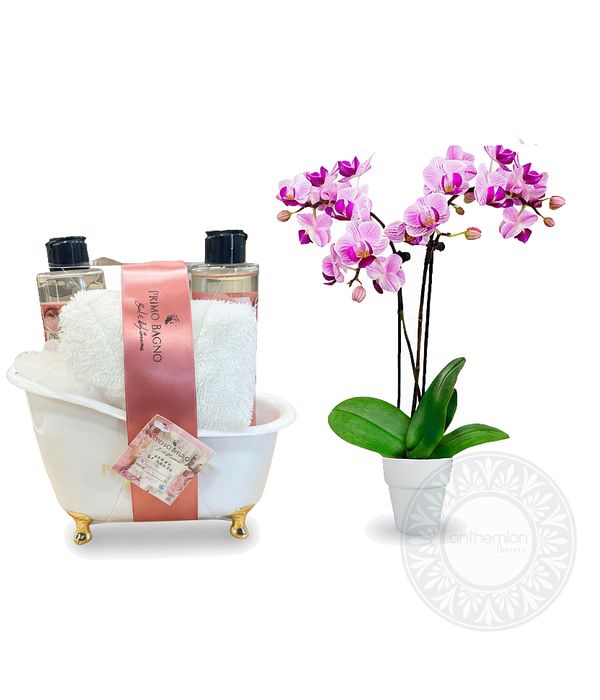 Rose Scented Gift Set with Mini Orchid Plant