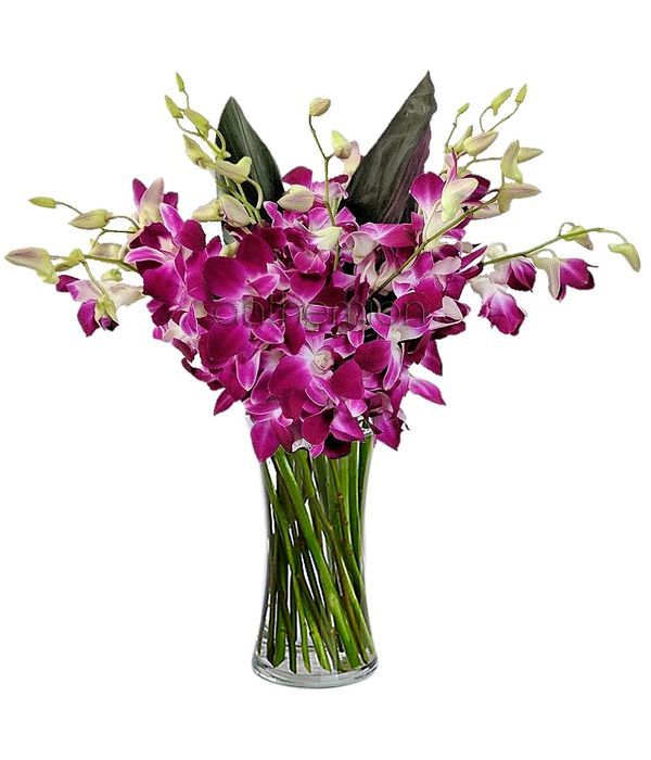Harmonious Bouquet in Vase
