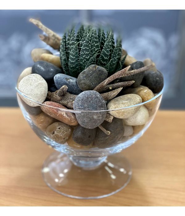Small glass bowl with succulents and pebbles