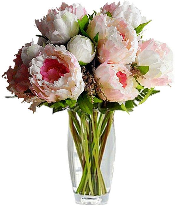 Pink and white Peonies