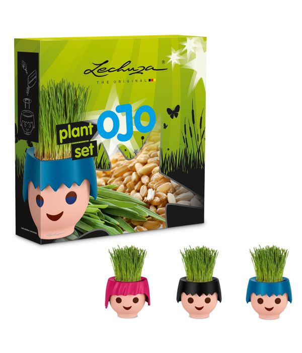 Plant Set with organic wheatgrass seed