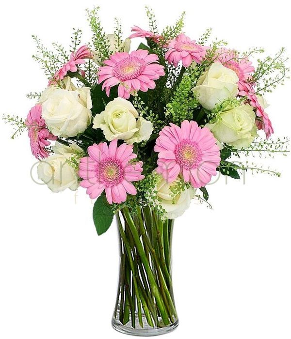 Ισμήνη με λευκά τριαντάφυλλα και ροζ ζέρμπερες