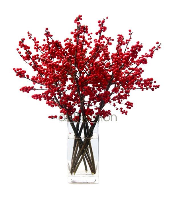 6 Cheerful red ilex | VASE IS NOT INCLUDED