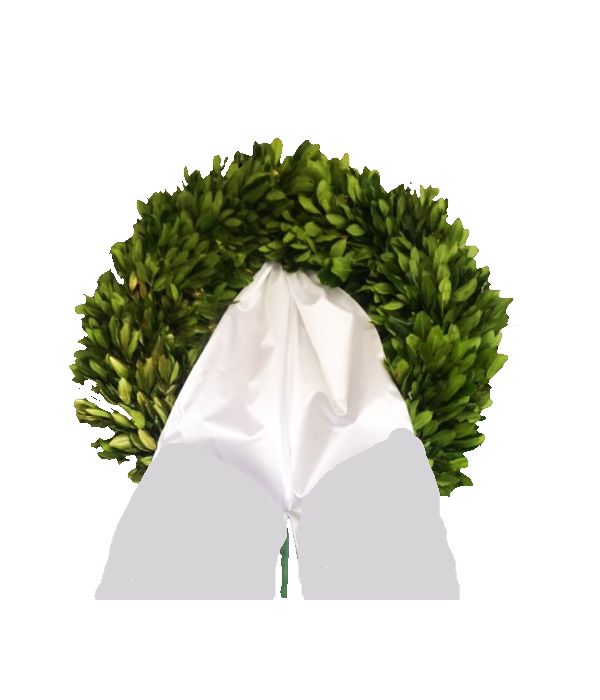 stefani-katathesis-dafnino