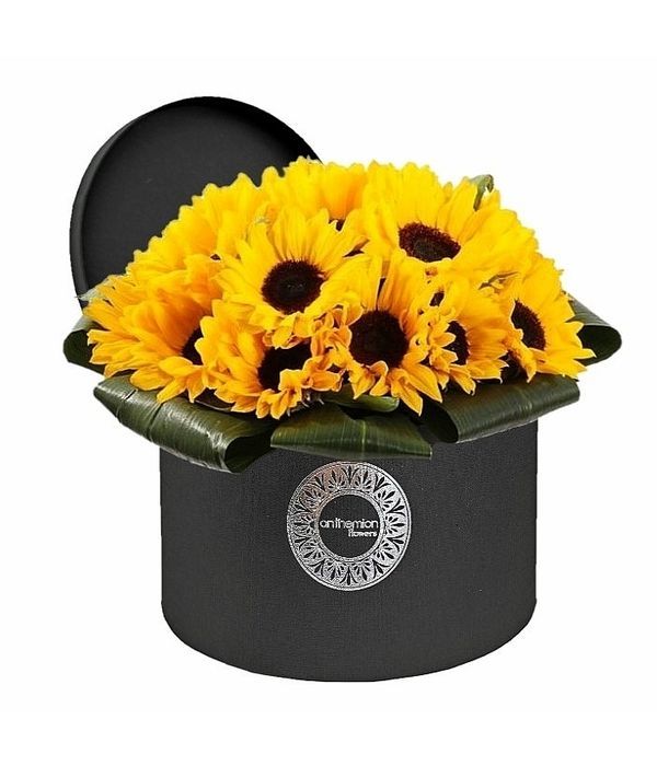 Sunflowers in black box