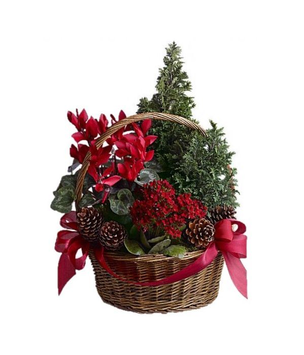Christmas Planter Basket 