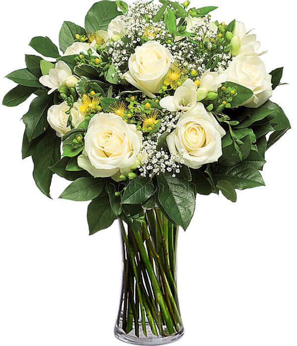 Tenderness with white roses 