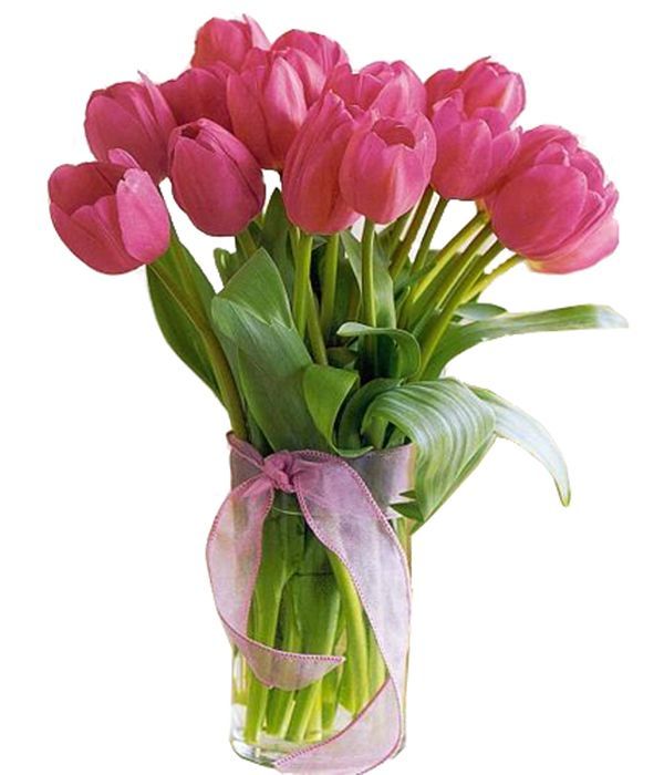 Order fuchia tulips in vase