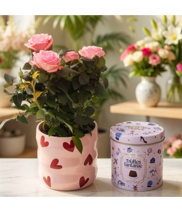Ροζ τριανταφυλλιά με τρούφες σοκολάτας