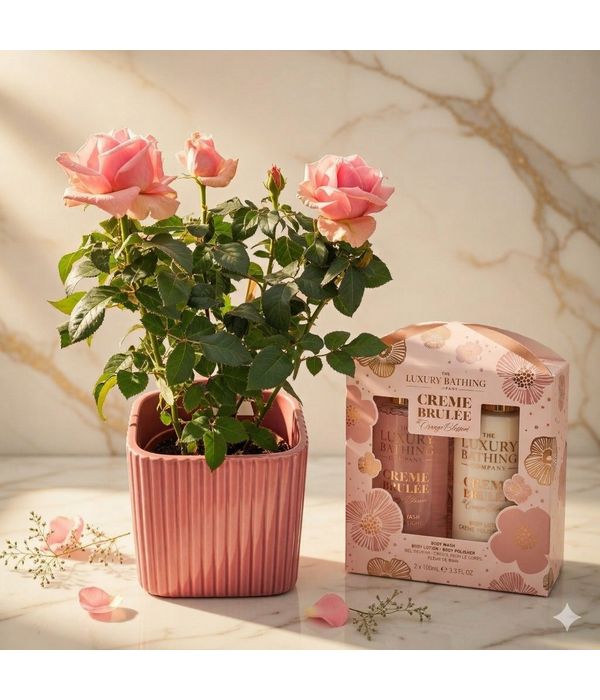 triantafyllia-fyto-set-peripoihshs-anthemionflowers