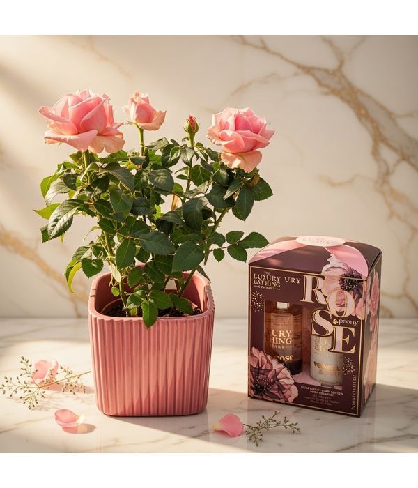 Body care gift set and pink rose tree