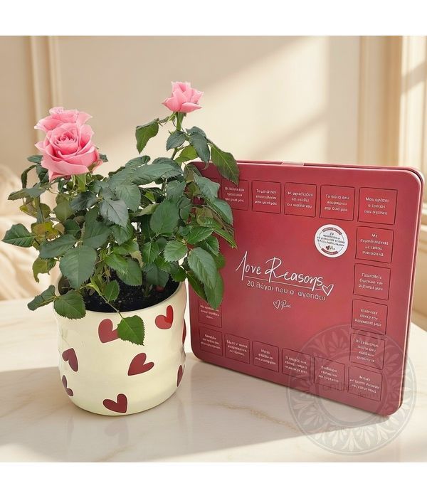 Ροζ τριανταφυλλιά και κασετίνα με σοκολατάκια