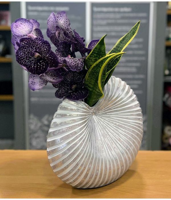 Composition in ceramic shell with Vanda orchid
