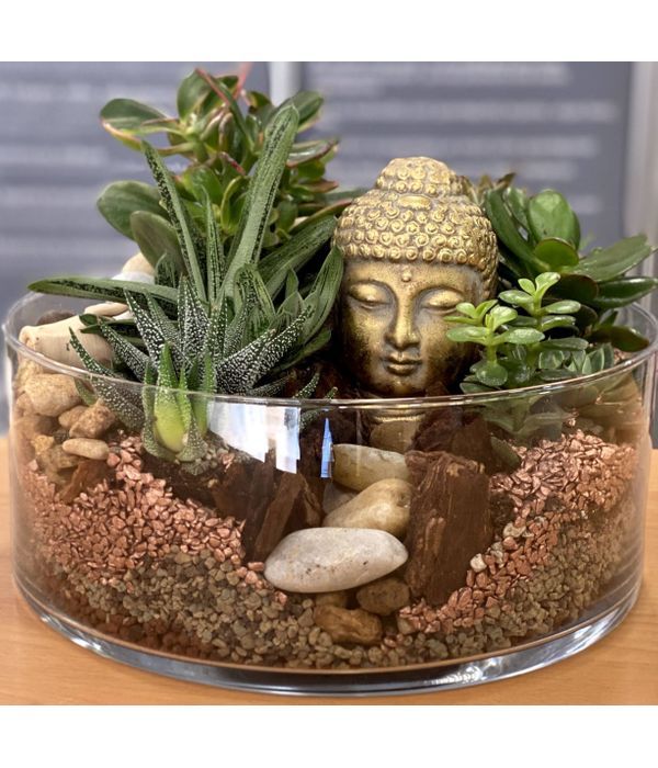 Decorative glass platter with succulent and Buddha head